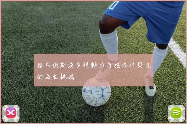 赫韦德斯谈多特魅力与施洛特贝克的成长挑战